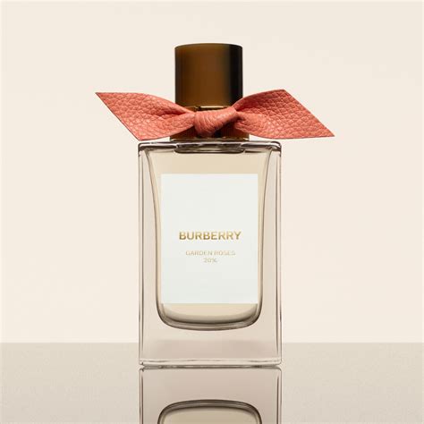 burberry rouge kaufen|burberry perfume for sale.